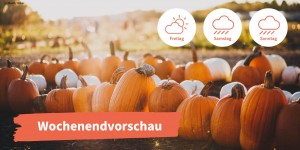 Beitragsbild des Blogbeitrags Weekend-Preview: Highlights am Wochenende in Wien, die ihr nicht verpassen solltet 