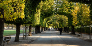Beitragsbild des Blogbeitrags Unsere liebsten Locations für den Herbst in Wien