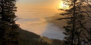Beitragsbild des Blogbeitrags 5 Ausflüge, mit denen ihr der Wiener Nebelsuppe entkommt