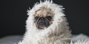 Beitragsbild des Blogbeitrags 7 Tipps gegen das Stimmungstief im Winter