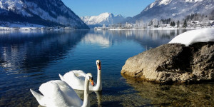 Beitragsbild des Blogbeitrags Winterliche Bergseewanderungen in Österreich 