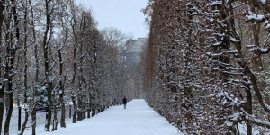 Beitragsbild des Blogbeitrags 9 Spaziergänge durch Wien mit kulinarischen Highlights
