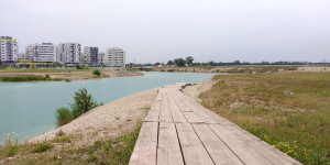 Beitragsbild des Blogbeitrags Wiener Teiche und Seen zum Spazierengehen 