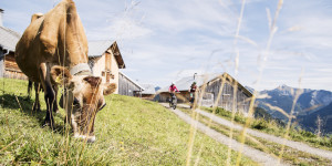 Beitragsbild des Blogbeitrags 10 Dinge, die du im Frühling in Vorarlberg machen solltest