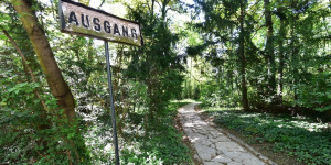 Beitragsbild des Blogbeitrags Entdecke das verwilderte Wien mit dem Gstettn-Führer