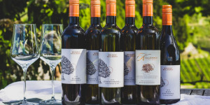 Beitragsbild des Blogbeitrags Gewinne ein Korkenkollektiv-Weinpaket vom Weingut Lieleg