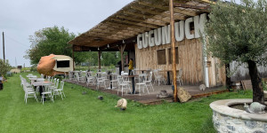 Beitragsbild des Blogbeitrags Naturverbundene Ausflugsziele in und rund um Wien
