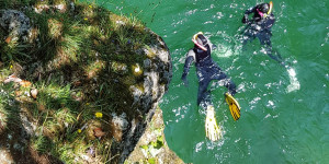 Beitragsbild des Blogbeitrags Tauchen in Österreich: von Wracks bis hin zu Unterwasserwäldern