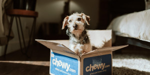 Beitragsbild des Blogbeitrags 7 Dinge, die alle Hundebesitzer*innen kennen