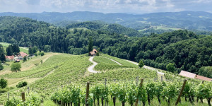 Beitragsbild des Blogbeitrags Die schönsten Plätze zum Picknicken in Österreich – Teil 1