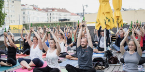 Beitragsbild des Blogbeitrags 9 ausgefallene Yoga-Angebote in Wien