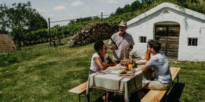 Beitragsbild des Blogbeitrags Die schönsten Wein-Orte in Niederösterreich