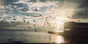 Beitragsbild des Blogbeitrags 6 schöne Gastgärten und Terrassen rund um den Neusiedler See