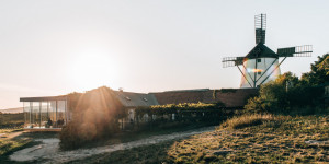 Beitragsbild des Blogbeitrags 5 Unternehmungen für den Spätsommer im Weinviertel