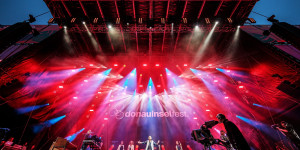 Beitragsbild des Blogbeitrags Unsere Highlights am Donauinselfest-Wochenende 2021