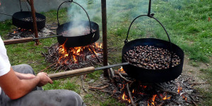 Beitragsbild des Blogbeitrags So bringen wir uns in Herbststimmung