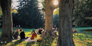 Beitragsbild des Blogbeitrags Dinge, die man im Herbst in Wien machen muss – Teil 2