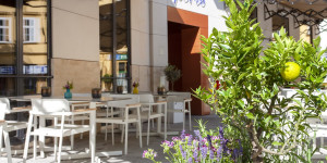 Beitragsbild des Blogbeitrags Die besten Restaurants für ein Abendessen in Wien
