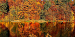 Beitragsbild des Blogbeitrags Die schönsten Indian-Summer-Orte in ganz Österreich