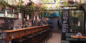 Beitragsbild des Blogbeitrags 10 Cafés in Linz, die ihr besucht haben müsst