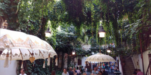 Beitragsbild des Blogbeitrags Die besten Restaurants für ein Abendessen in Wien – Teil 2