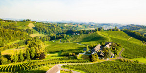 Beitragsbild des Blogbeitrags Die Weinstraße entlang: Französische Genusserlebnisse in der Südsteiermark