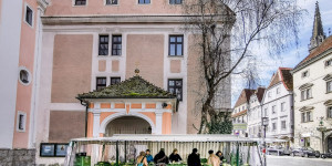 Beitragsbild des Blogbeitrags Unsere liebsten Wochenmärkte in und um Linz