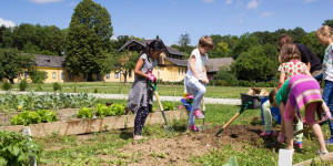 Beitragsbild des Blogbeitrags Familienunternehmungen in Wien