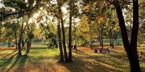 Beitragsbild des Blogbeitrags Wo ihr in Wien haufenweise Kastanien sammeln könnt