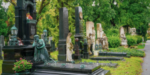 Beitragsbild des Blogbeitrags Unser Senf: Warum ich gerne durch den Zentralfriedhof spaziere 