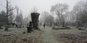 Beitragsbild des Blogbeitrags Unsere liebsten Spaziergänge bei Nebel in Wien