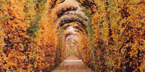 Beitragsbild des Blogbeitrags Die schönsten Parks in Wien – Teil 1