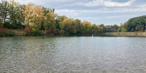 Beitragsbild des Blogbeitrags Wiener Teiche und Seen zum Spazierengehen 