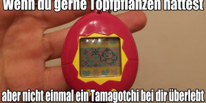 Beitragsbild des Blogbeitrags Das Tamagotchi-Tagebuch