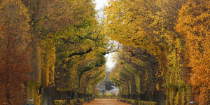 Beitragsbild des Blogbeitrags Die schönsten Parks in Wien – Teil 2