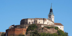 Beitragsbild des Blogbeitrags Mundart Quiz: Wie viel Burgenland steckt in deiner Sprache?