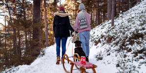 Beitragsbild des Blogbeitrags 8 Dinge, die ihr im Februar in Österreich machen müsst