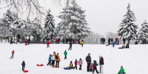 Beitragsbild des Blogbeitrags Wintersport, den ihr in Wien machen könnt