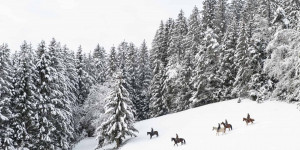 Beitragsbild des Blogbeitrags 5 Dinge, die du diesen Winter in Oberösterreich machen kannst 