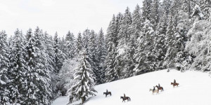 Beitragsbild des Blogbeitrags 5 Dinge, die du diesen Winter in Oberösterreich machen kannst