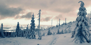 Beitragsbild des Blogbeitrags 5 schöne Schneeschuhwanderungen in Oberösterreich