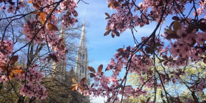 Beitragsbild des Blogbeitrags Frühlingshafe Spaziergänge in Wien – Teil 2