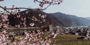 Beitragsbild des Blogbeitrags 10 Ausflugsziele für die Osterzeit in Niederösterreich