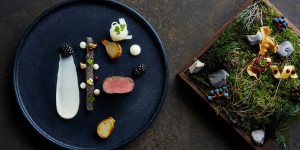 Beitragsbild des Blogbeitrags Unsere liebsten Gourmetrestaurants in Wien – Teil 2