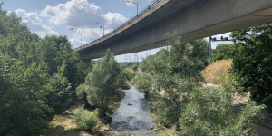 Beitragsbild des Blogbeitrags Schöne Radtouren, die ihr von Wien aus unternehmen könnt
