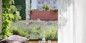 Beitragsbild des Blogbeitrags 7 nachhaltige Hotels in Österreich