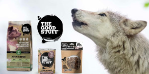 Beitragsbild des Blogbeitrags Gewinne 2×2 Karten für die Howl Night im Wolf Science Center 