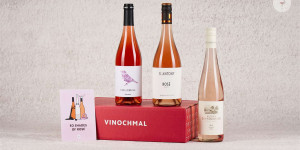 Beitragsbild des Blogbeitrags Gewinne 5×1 ViNochmal Tasting-Paket „50 Shades of Rosé“ 