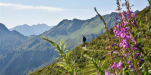 Beitragsbild des Blogbeitrags Entdeckt die gemütlichsten Wanderungen in Tirol und gewinnt einen Urlaub im Alpbachtal 