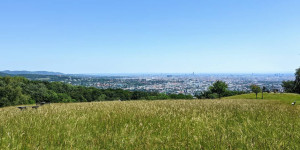 Beitragsbild des Blogbeitrags Alles, was ihr über die Wiener Bezirke wissen müsst